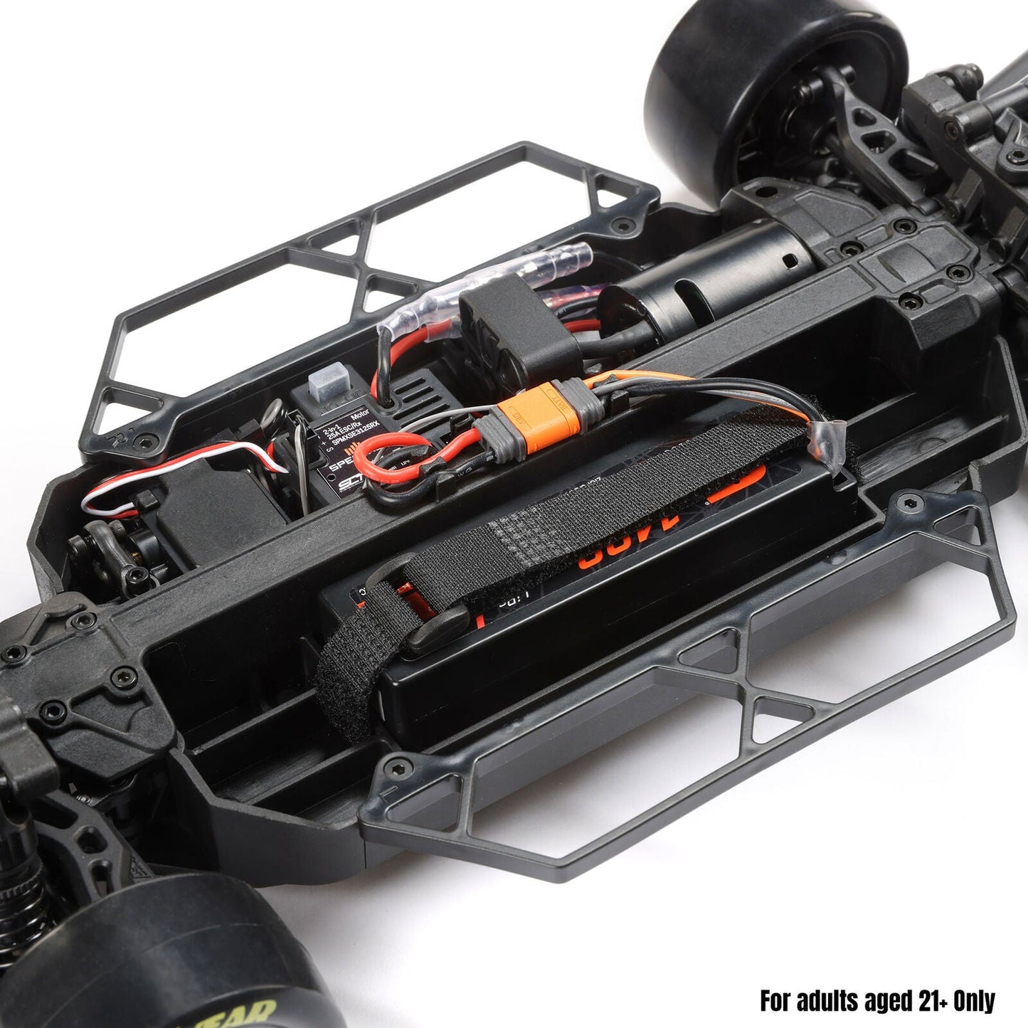 Losi 1/12 NASCAR RC Race Car Ross Chastain No. 1 2025 Busch Light Chevrolet ZL1 Blue